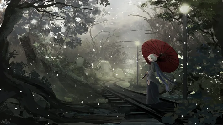 Photo by 壁纸迷