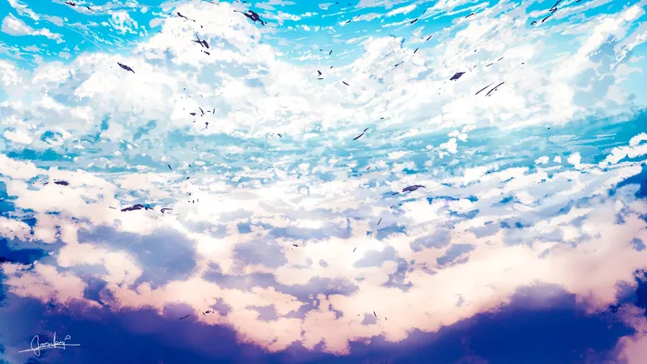 Photo by 壁纸迷