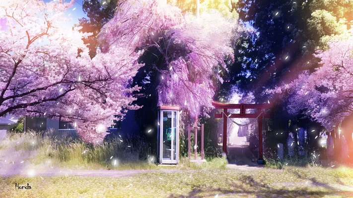Photo by 壁纸迷