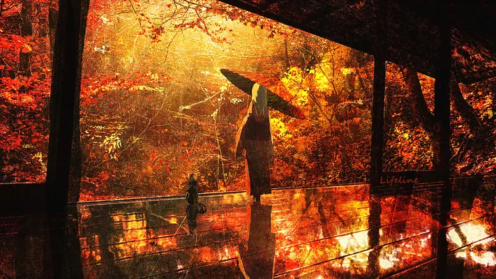 Photo by 壁纸迷