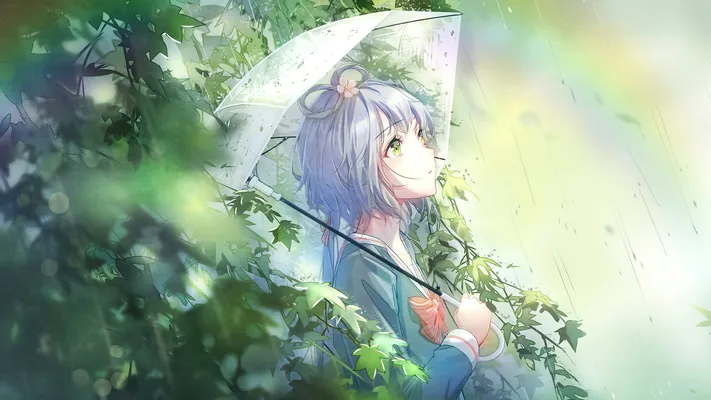 Photo by 壁纸迷