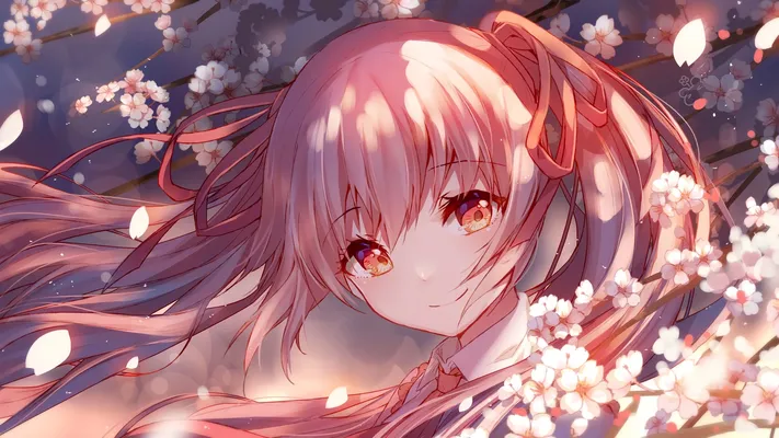 Photo by 壁纸迷