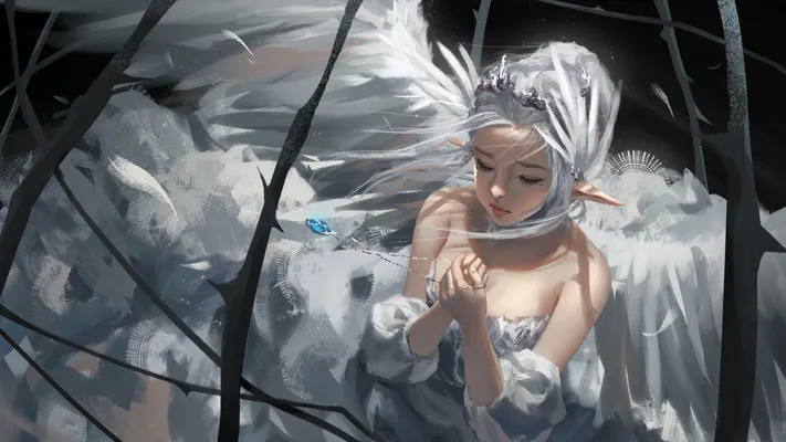 Photo by 壁纸迷