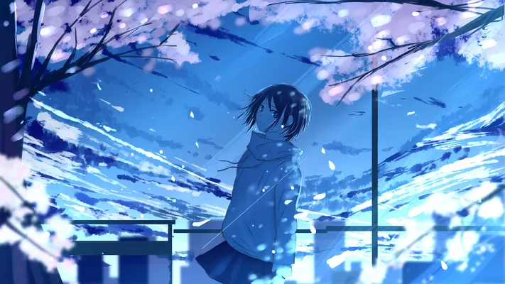 Photo by 壁纸迷