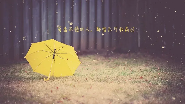 Photo by 壁纸迷