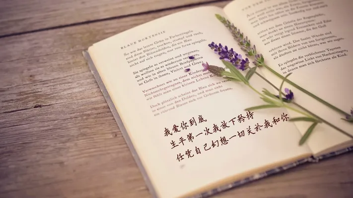 Photo by 壁纸迷