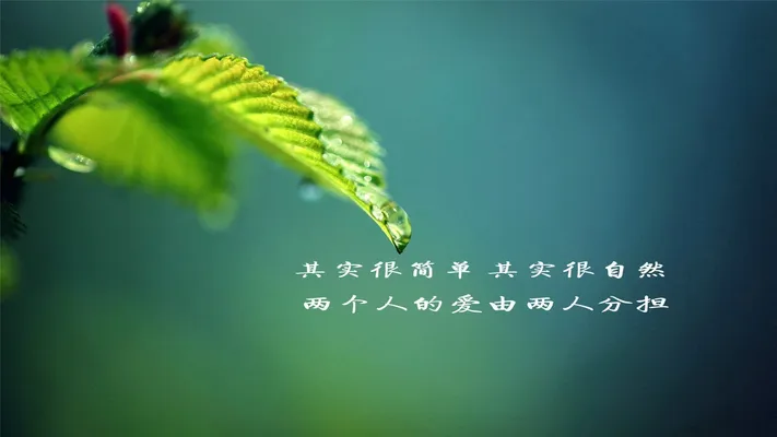 Photo by 壁纸迷