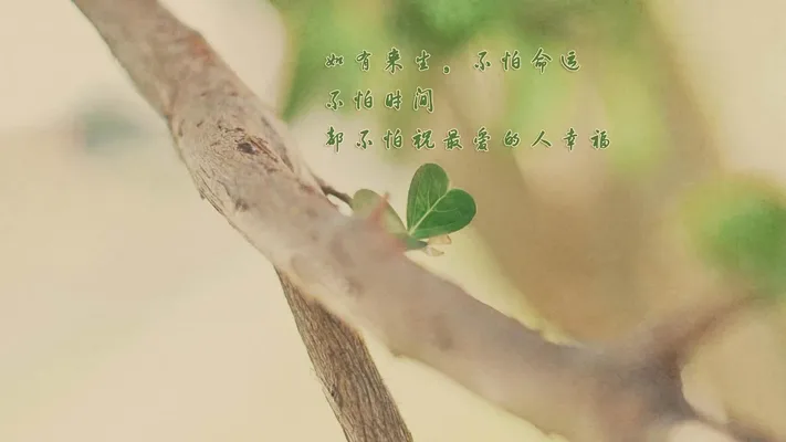 Photo by 壁纸迷