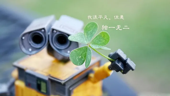 Photo by 壁纸迷