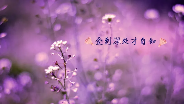 Photo by 壁纸迷