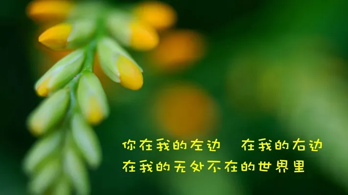 Photo by 壁纸迷
