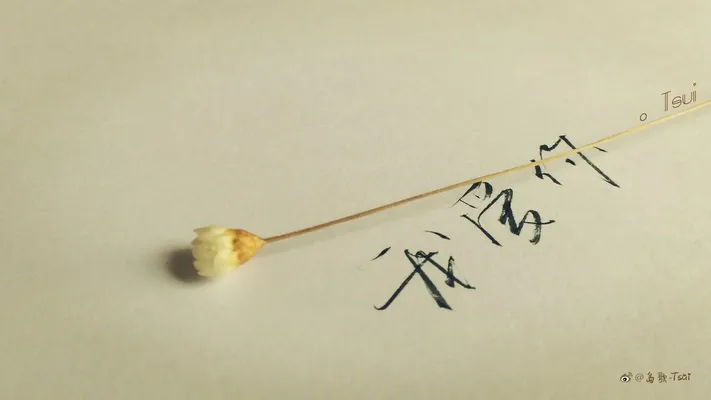 Photo by 壁纸迷