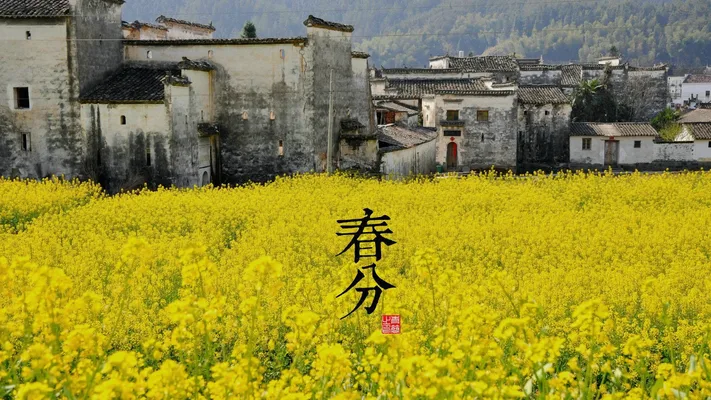Photo by 壁纸迷