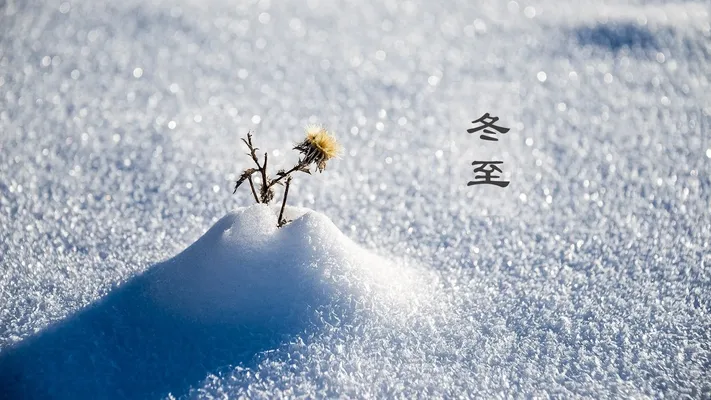 Photo by 壁纸迷