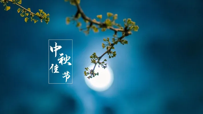Photo by 壁纸迷