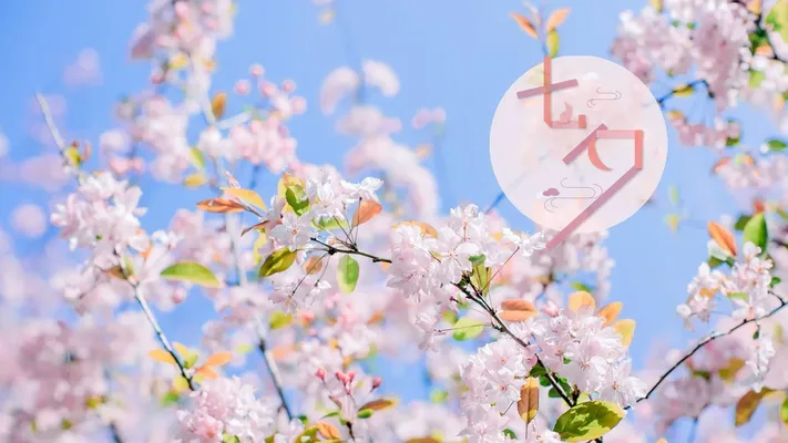Photo by 壁纸迷