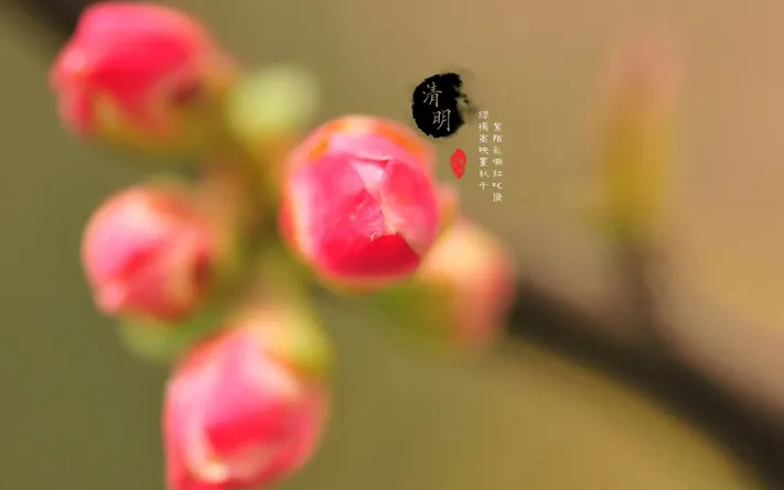 Photo by 壁纸迷