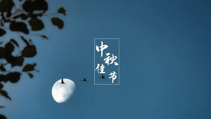 Photo by 壁纸迷