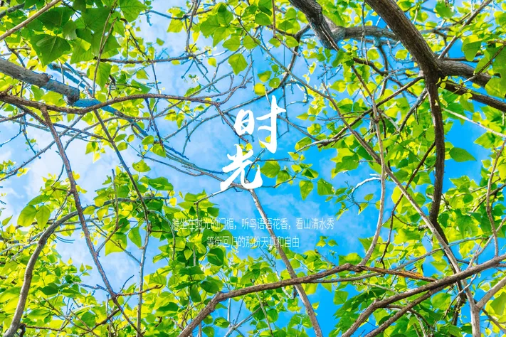 Photo by 壁纸迷
