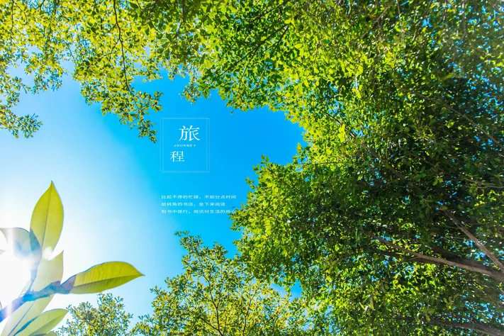 Photo by 壁纸迷