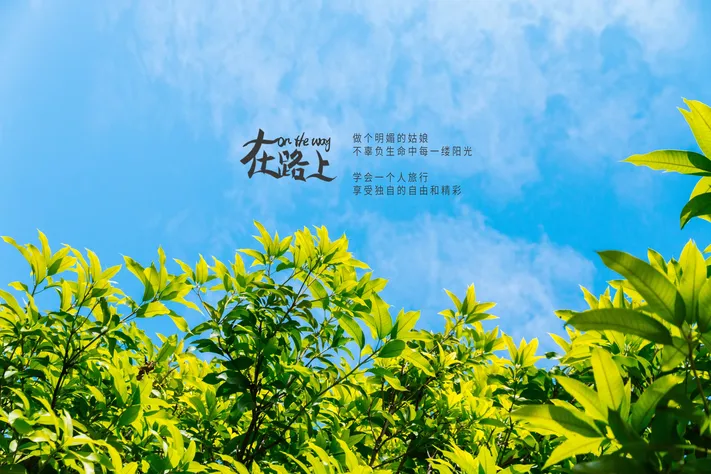 Photo by 壁纸迷