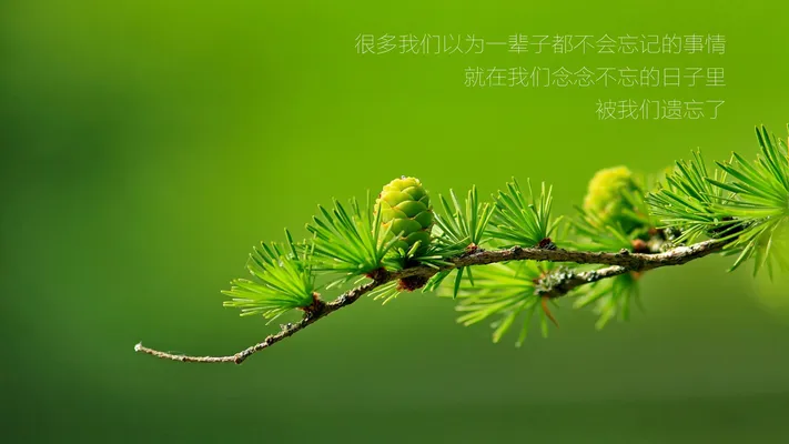 4K文字创意壁纸 英文短句时尚个性