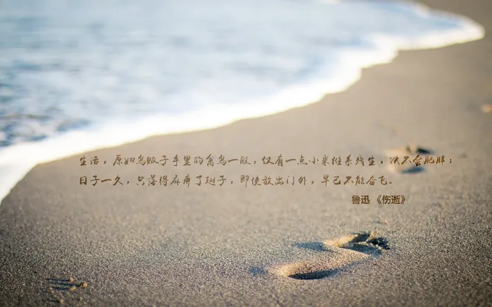 Photo by 壁纸迷