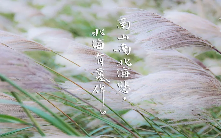Photo by 壁纸迷