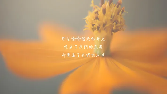 Photo by 壁纸迷