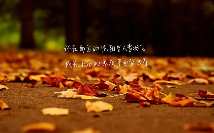 Photo by 壁纸迷