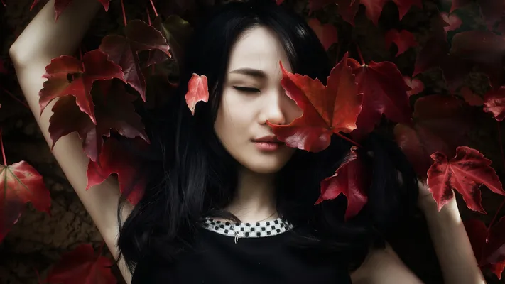 Photo by 壁纸迷