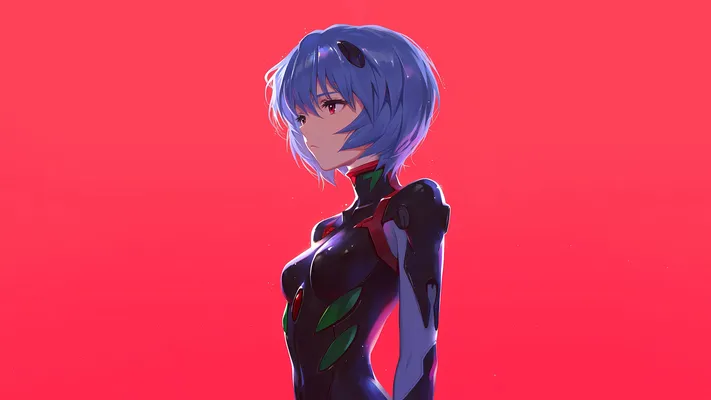 Photo by 壁纸迷