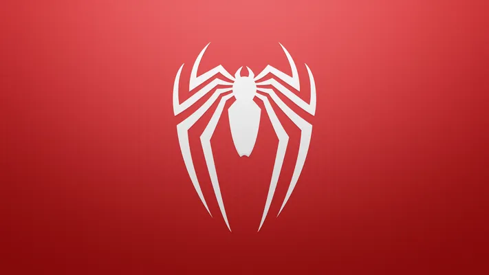 Photo by 壁纸迷