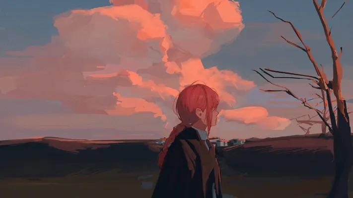 Photo by 壁纸迷