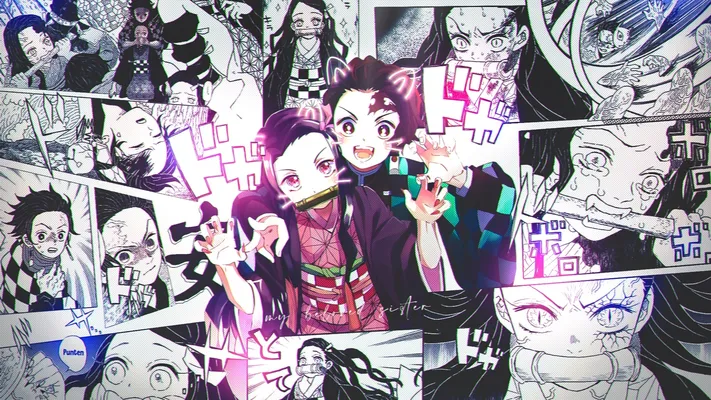 Photo by 壁纸迷