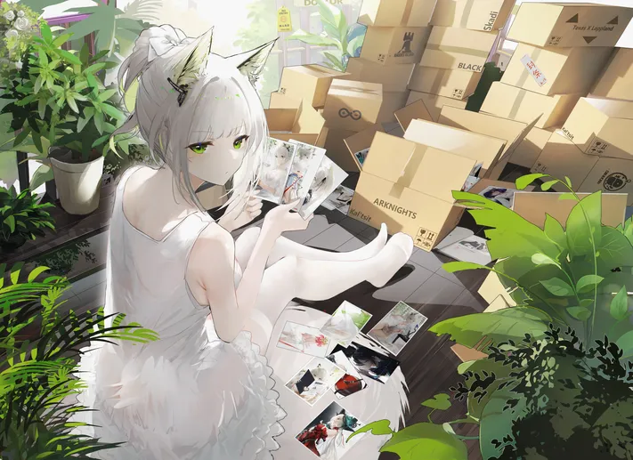 Photo by 壁纸迷