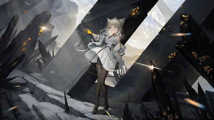 Photo by 壁纸迷