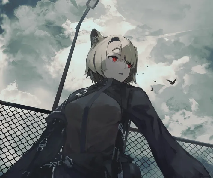 Photo by 壁纸迷