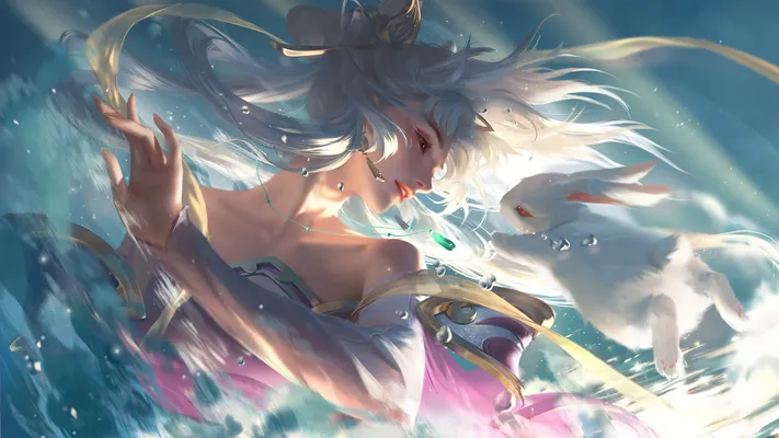Photo by 壁纸迷