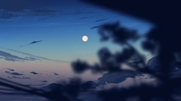 Photo by 壁纸迷