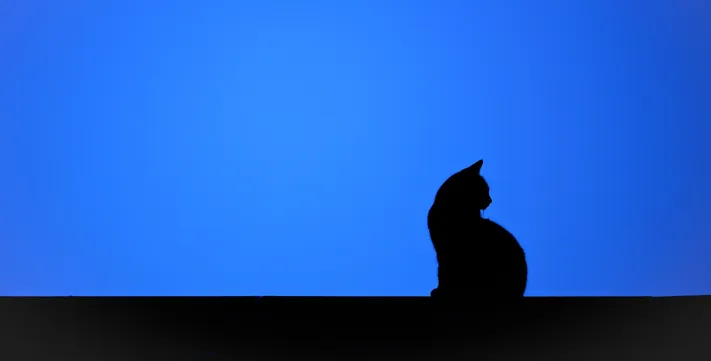 Photo by 壁纸迷