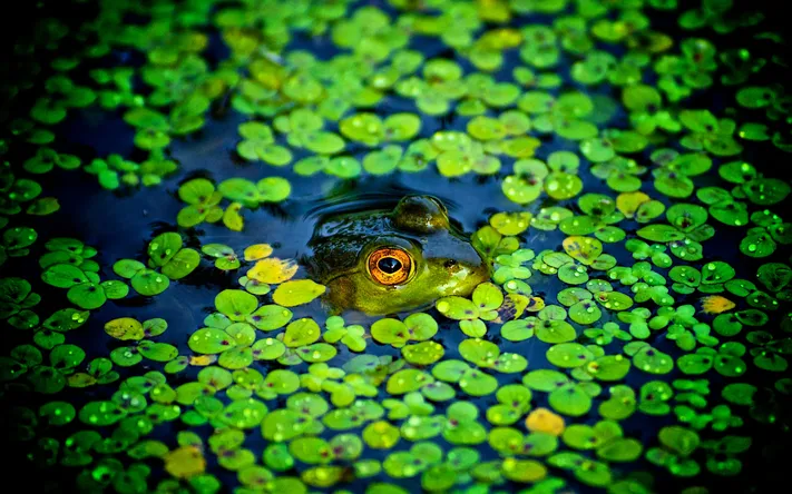 Photo by 壁纸迷
