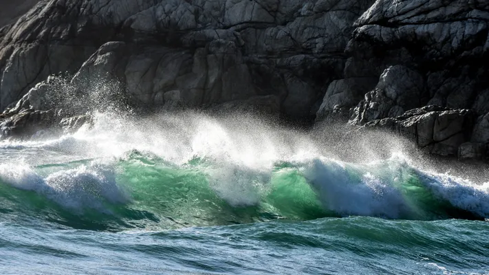 Photo by 壁纸迷