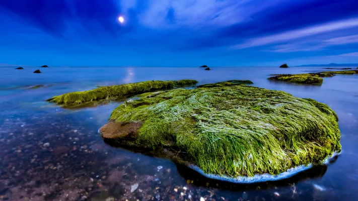 Photo by 壁纸迷