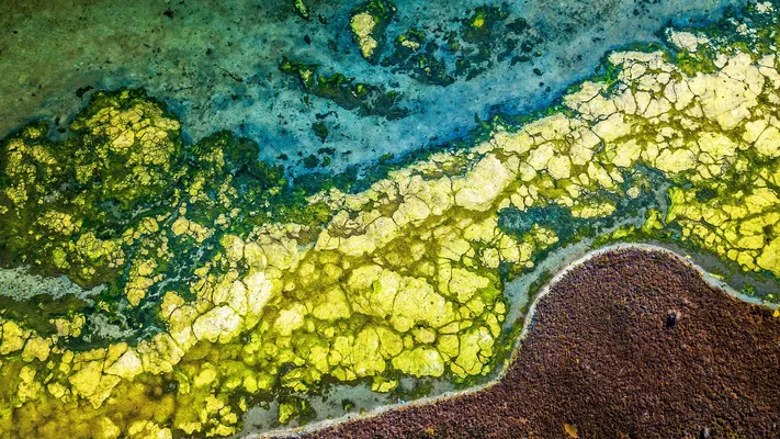Photo by 壁纸迷