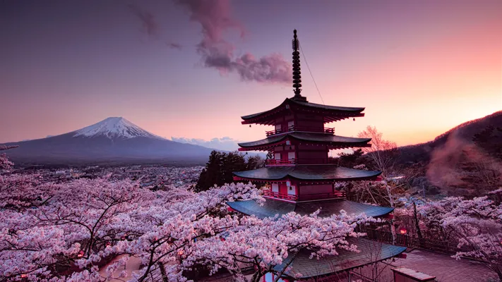 Photo by 壁纸迷