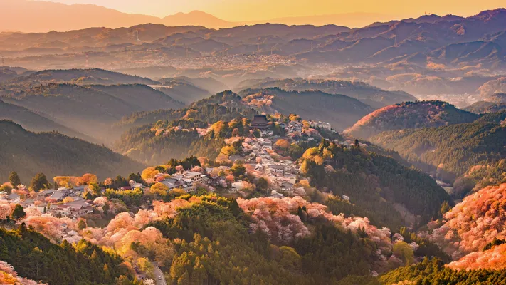 Photo by 壁纸迷