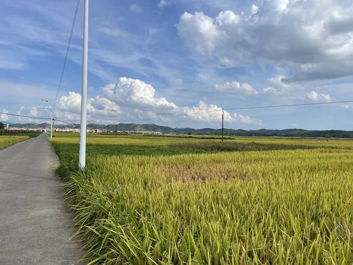 Photo by 壁纸迷