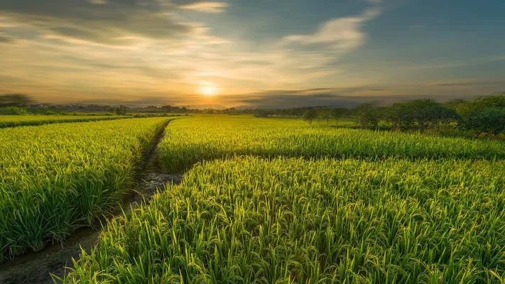 Photo by 壁纸迷
