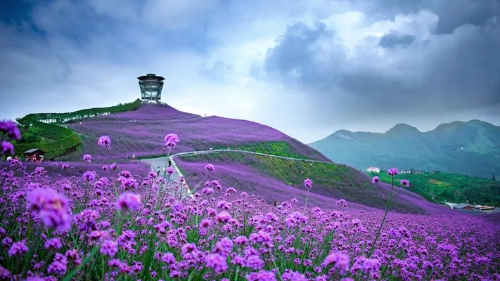 Photo by 壁纸迷